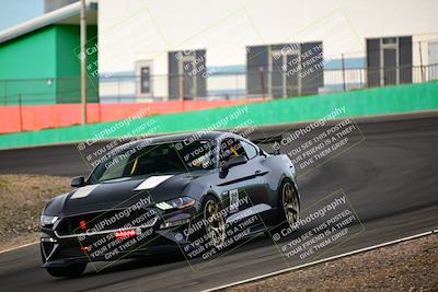 media/Feb-25-2024-Speed Ventures (Sun) [[b9a2a97a4d]]/Mustang Drivers Club/Session 1 (Turns 4 and 5)/